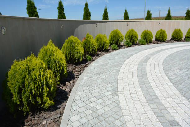 Best Driveway Pavers Installation  in Patton Village, TX